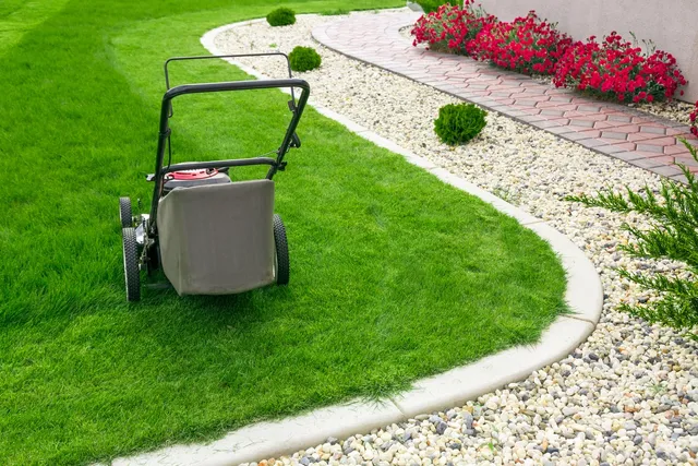 Lawn mower on freshly cut grass.